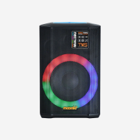 Altavoz Moonki 18W