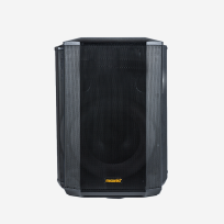 Altavoz Moonki 100W