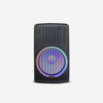 Altavoz Profesional Moonki 300W