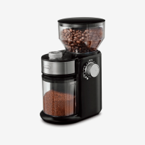 Molino De Café Brentwood 150W